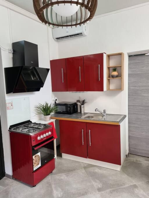 לה סאלין לה ביינס Charmant Logement A L'Ermitage Les Bains מראה חיצוני תמונה
